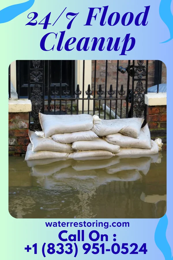 24/7 Flood Cleanup in Danby, NY