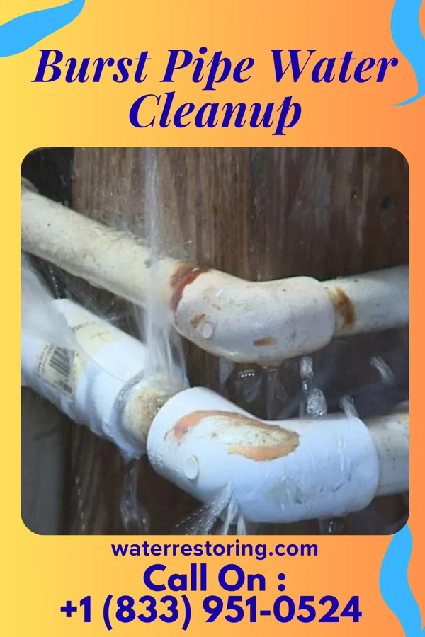 Burst Pipe Water Cleanup in Danby, NY