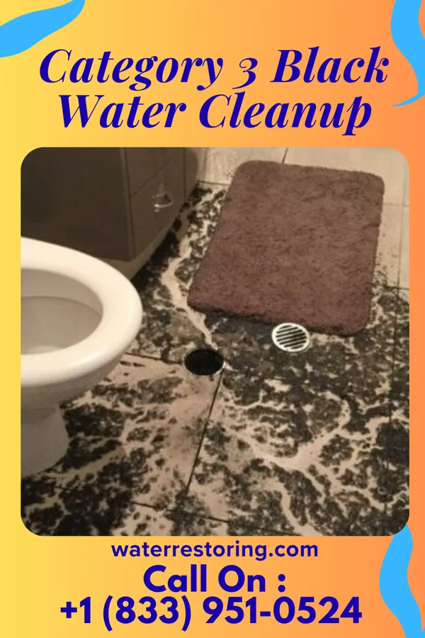 Category 3 Black Water Cleanup in Danby, NY