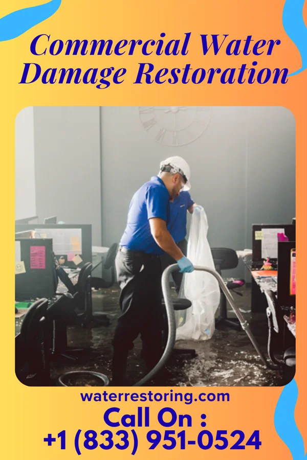 Commercial Water Damage Restoration in Danby, NY