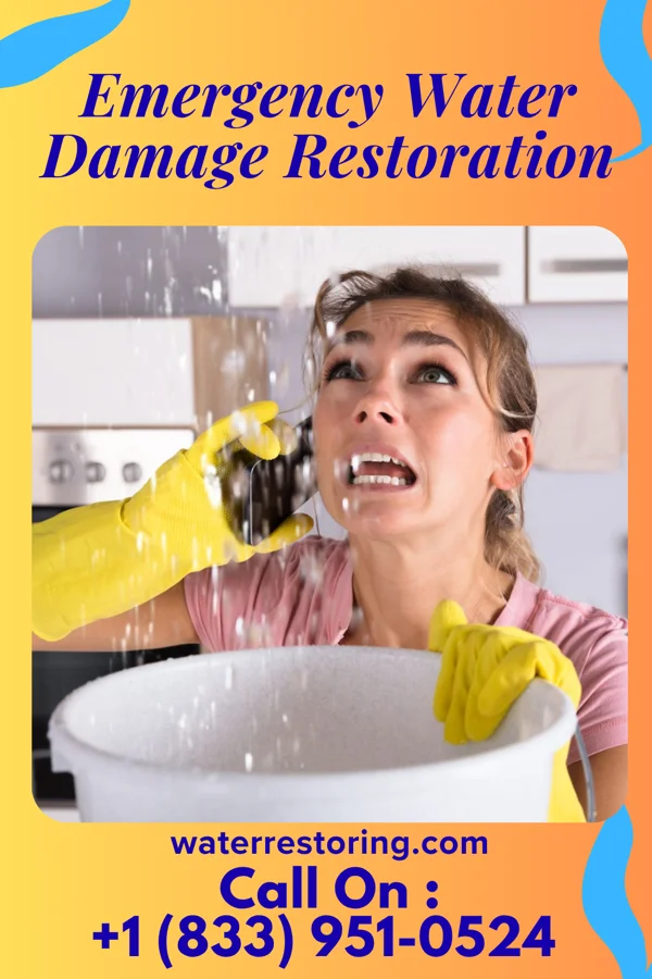Emergency Water Damage Restoration in Danby, NY
