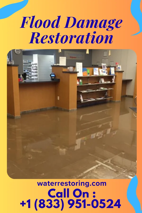 Flood Damage Restoration in Danby, NY
