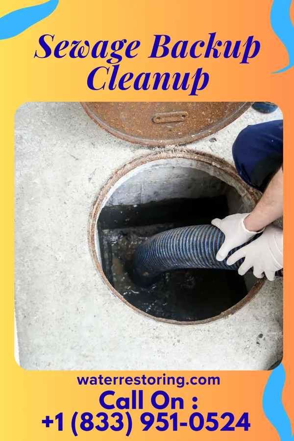 Sewage Backup Cleanup in Danby, NY