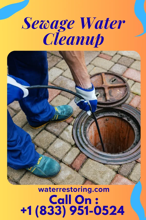 Sewage Water Cleanup in Danby, NY